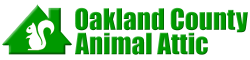 Oakland County Animal Attic